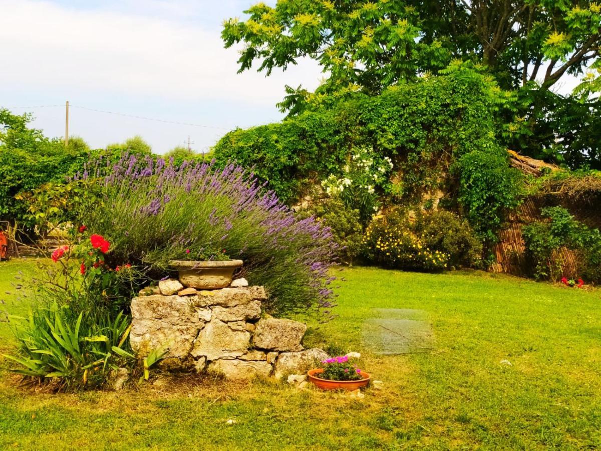 Agriturismo Podere Luchiano Амелиа Экстерьер фото
