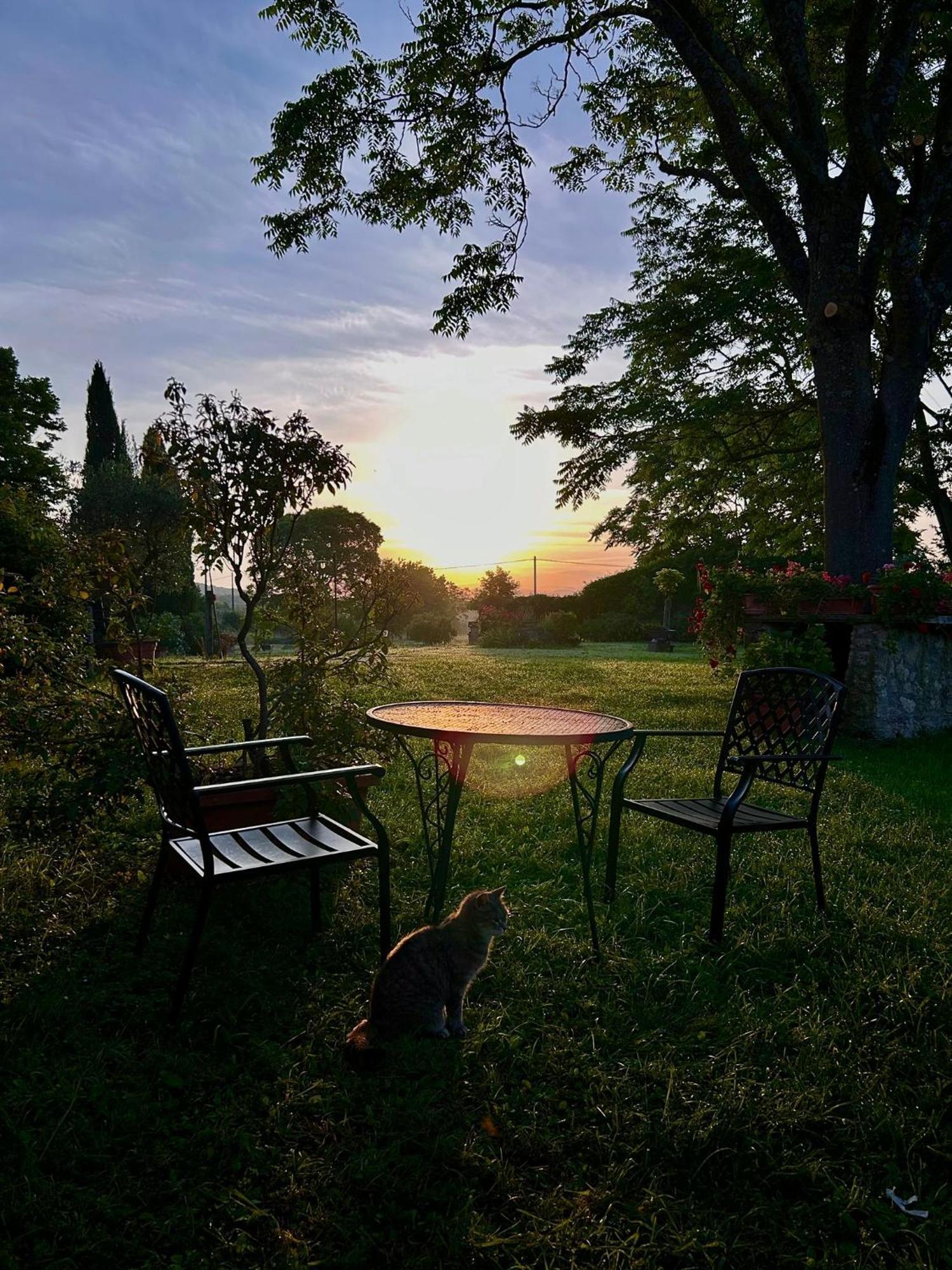 Agriturismo Podere Luchiano Амелиа Экстерьер фото