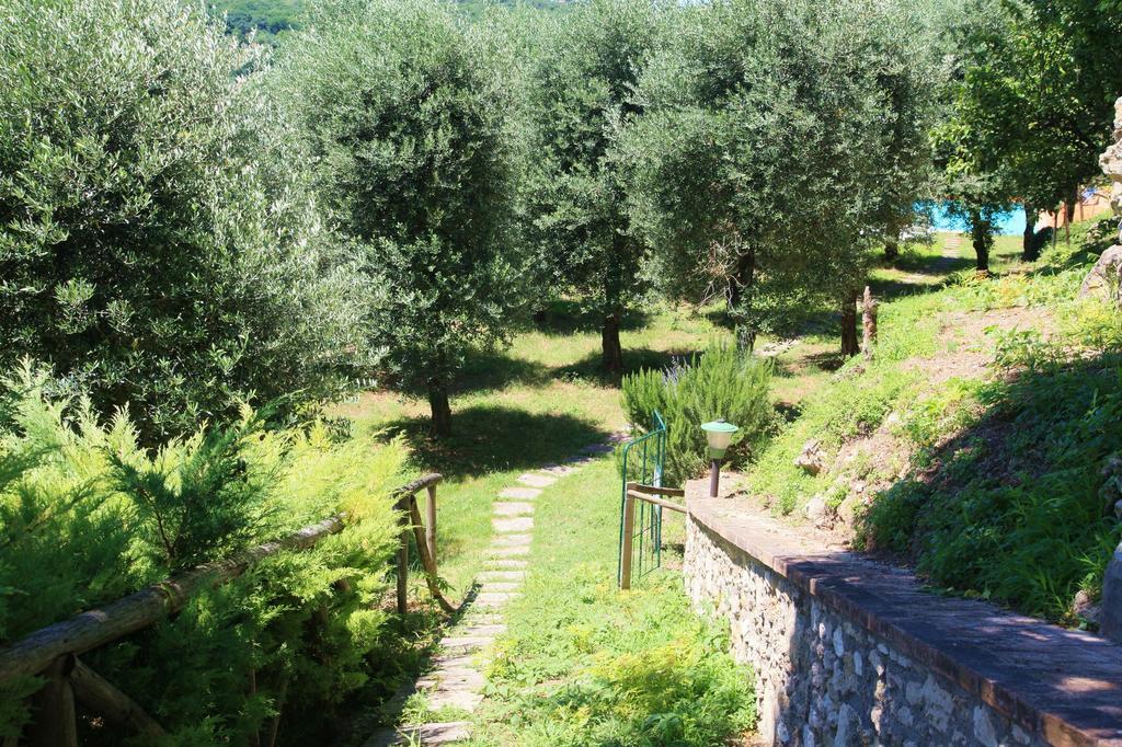 Agriturismo Podere Luchiano Амелиа Экстерьер фото