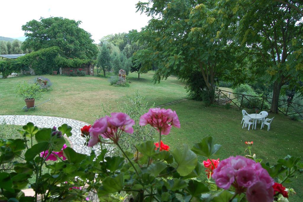 Agriturismo Podere Luchiano Амелиа Экстерьер фото